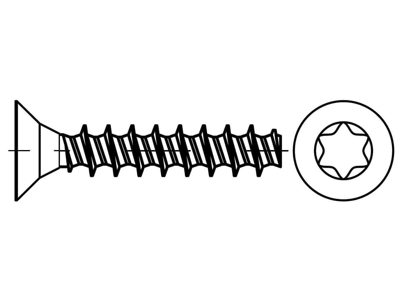 EB 89700CT plastik için sertleştirilmiş vidalar, gömme başlı ve TORX soketli EB 89700CT plastik için sertleştirilmiş vidalar, gömme başlı ve TORX soketli