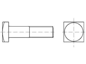 DIN 21346 / PN 82121 kare başlı vidalar
