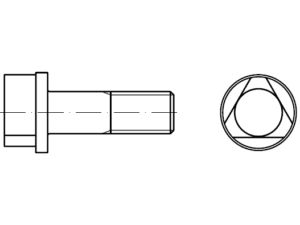 DIN 22424 / PN 82450 taç vidaları