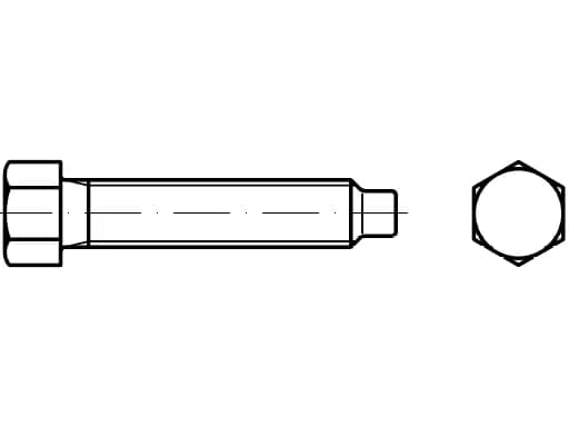 DIN 561 / PN 82303 silindirik mil yatağı olan pres vidaları